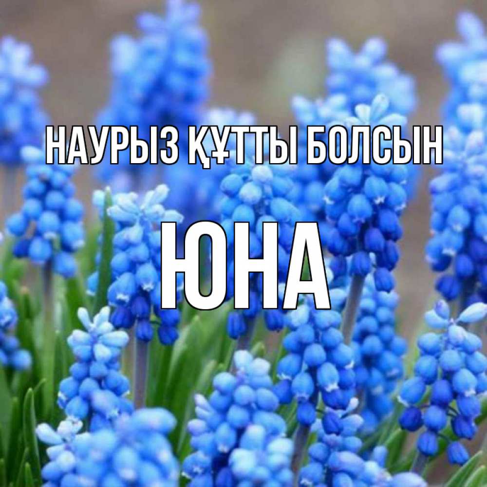 Открытка на каждый день с именем, Юна Наурыз құтты болсын Поздравительная открытка для женщин с цветами на праздничную дату Прикольная открытка с пожеланием онлайн скачать бесплатно 