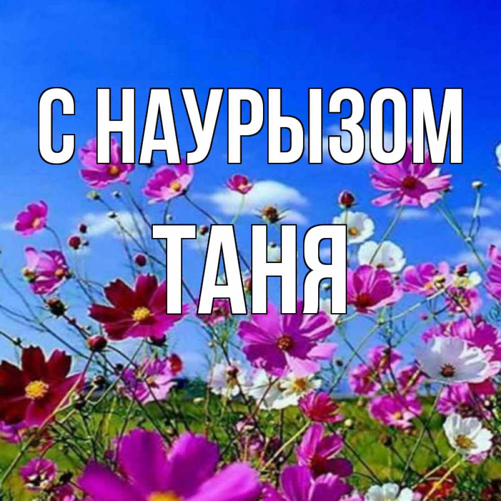 Картинка С наурызом, Таня