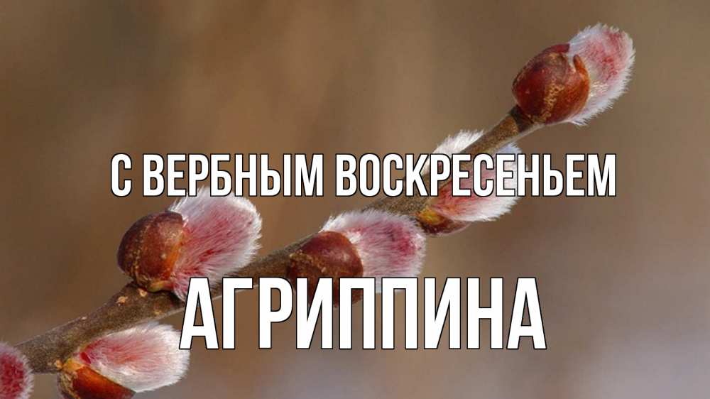 Открытка на каждый день с именем, Агриппина С вербным воскресеньем верба Прикольная открытка с пожеланием онлайн скачать бесплатно 
