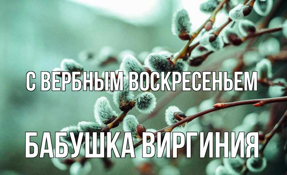 Открытка на каждый день с именем, Бабушка-Виргиния С вербным воскресеньем верба Прикольная открытка с пожеланием онлайн скачать бесплатно 