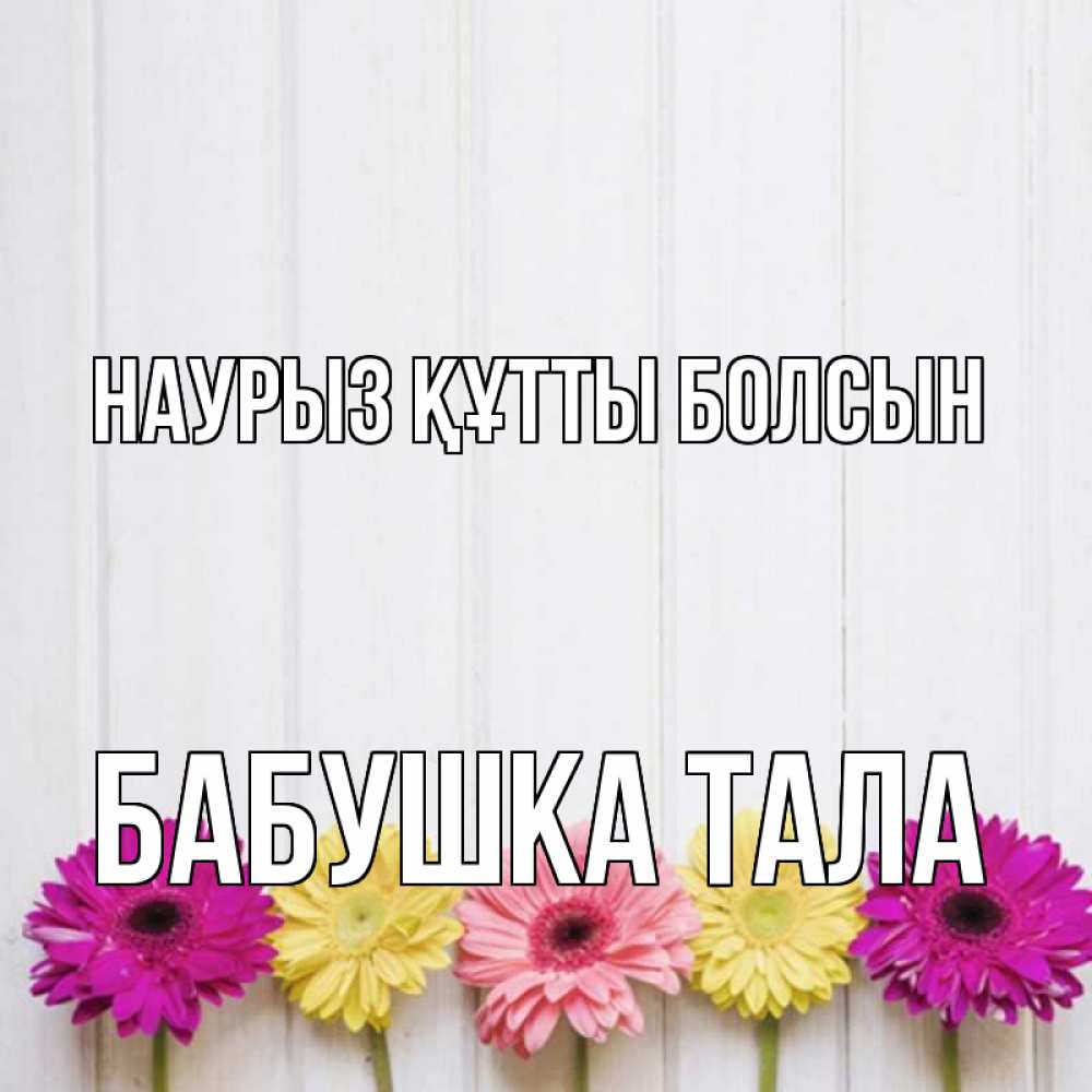 Открытка на каждый день с именем, Бабушка-Тала Наурыз құтты болсын женщинам 1 Прикольная открытка с пожеланием онлайн скачать бесплатно 