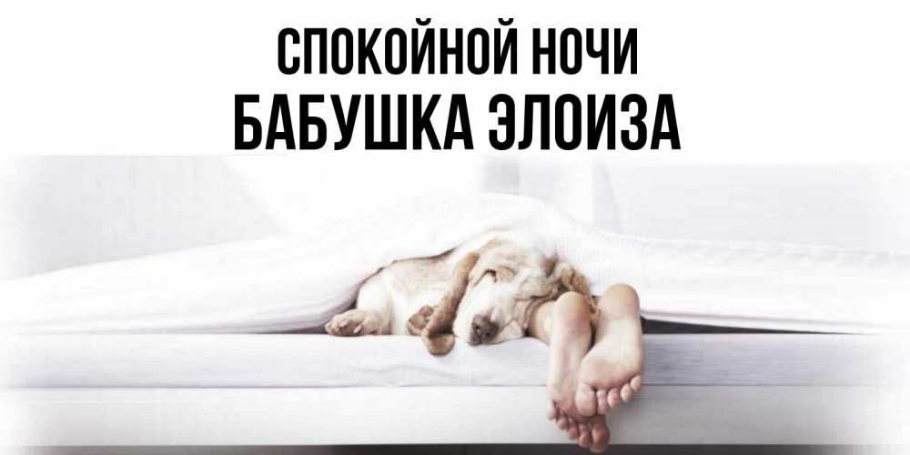 Открытка на каждый день с именем, Бабушка-Элоиза Спокойной ночи кровать с собакой пожелание сладких снов и спокойной ночи Прикольная открытка с пожеланием онлайн скачать бесплатно 