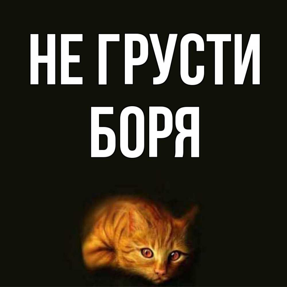 Открытка на каждый день с именем, Боря Не грусти лежащий кот в темноте Прикольная открытка с пожеланием онлайн скачать бесплатно 