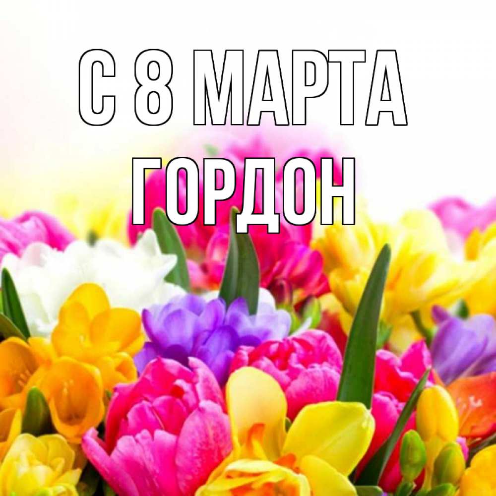 Открытка на каждый день с именем, Гордон С 8 МАРТА тюльпаны Прикольная открытка с пожеланием онлайн скачать бесплатно 