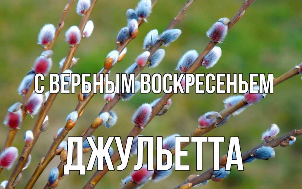 Открытка на каждый день с именем, Джульетта С вербным воскресеньем верба Прикольная открытка с пожеланием онлайн скачать бесплатно 