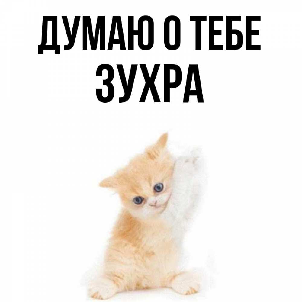 Открытка на каждый день с именем, Зухра Думаю о тебе зверушки и милота Прикольная открытка с пожеланием онлайн скачать бесплатно 