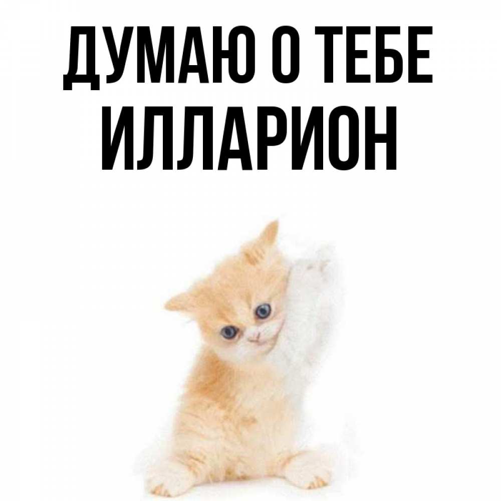Открытка на каждый день с именем, Илларион Думаю о тебе зверушки и милота Прикольная открытка с пожеланием онлайн скачать бесплатно 