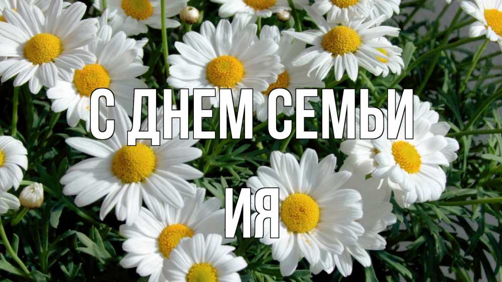 Открытка на каждый день с именем, Ия С днем семьи с днем семьи Прикольная открытка с пожеланием онлайн скачать бесплатно 