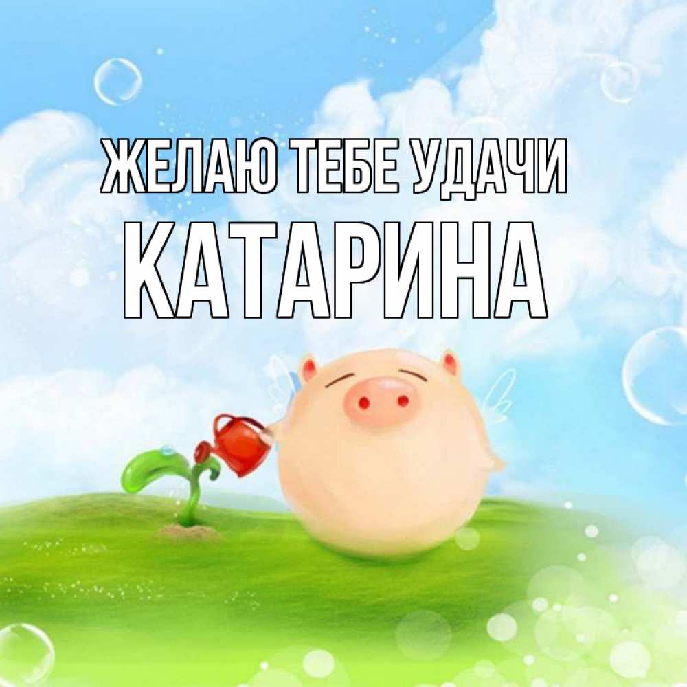 Открытка на каждый день с именем, Катарина Желаю тебе удачи поросенок поливает цветок. летнее настроение Прикольная открытка с пожеланием онлайн скачать бесплатно 