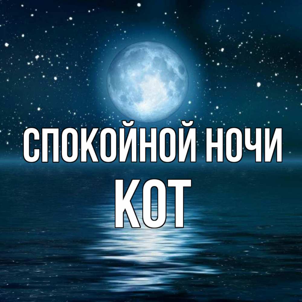 Открытка на каждый день с именем, Кот Спокойной ночи звезды Прикольная открытка с пожеланием онлайн скачать бесплатно 