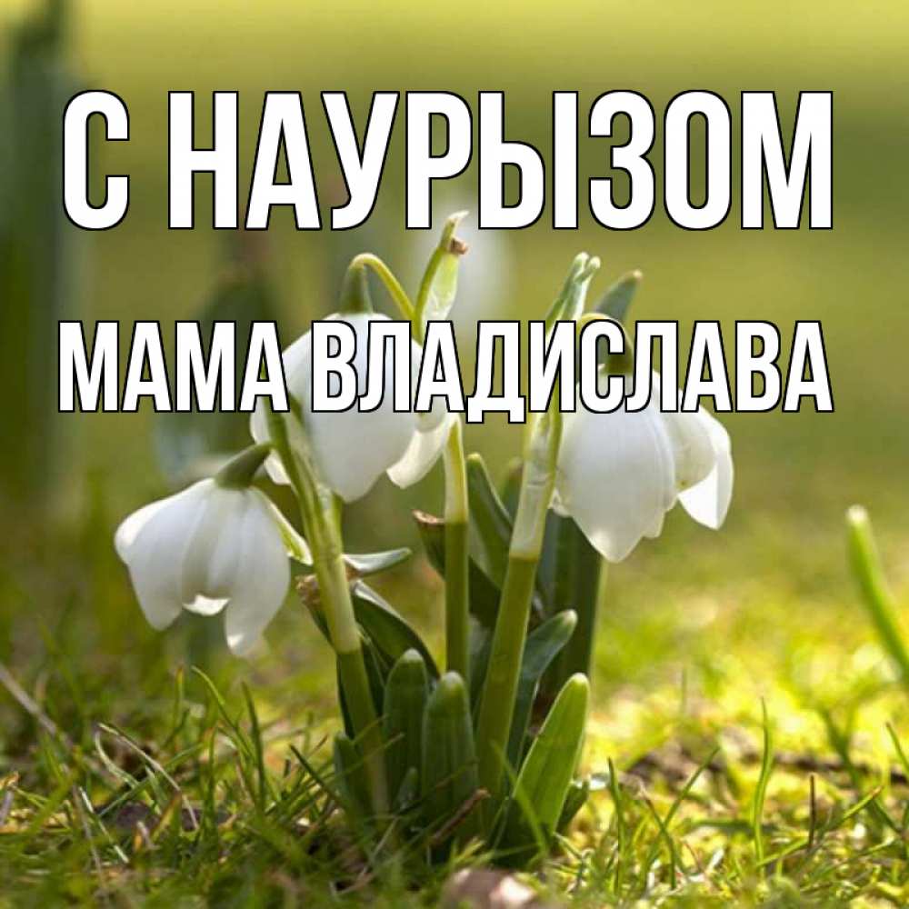 Открытка на каждый день с именем, Мама-Владислава С наурызом ранние цветы 2 Прикольная открытка с пожеланием онлайн скачать бесплатно 