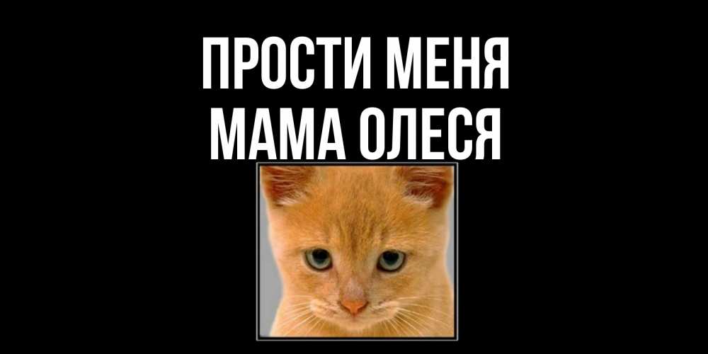 Открытка на каждый день с именем, Мама-Олеся Прости меня рыжий грустный кот просит прощения Прикольная открытка с пожеланием онлайн скачать бесплатно 