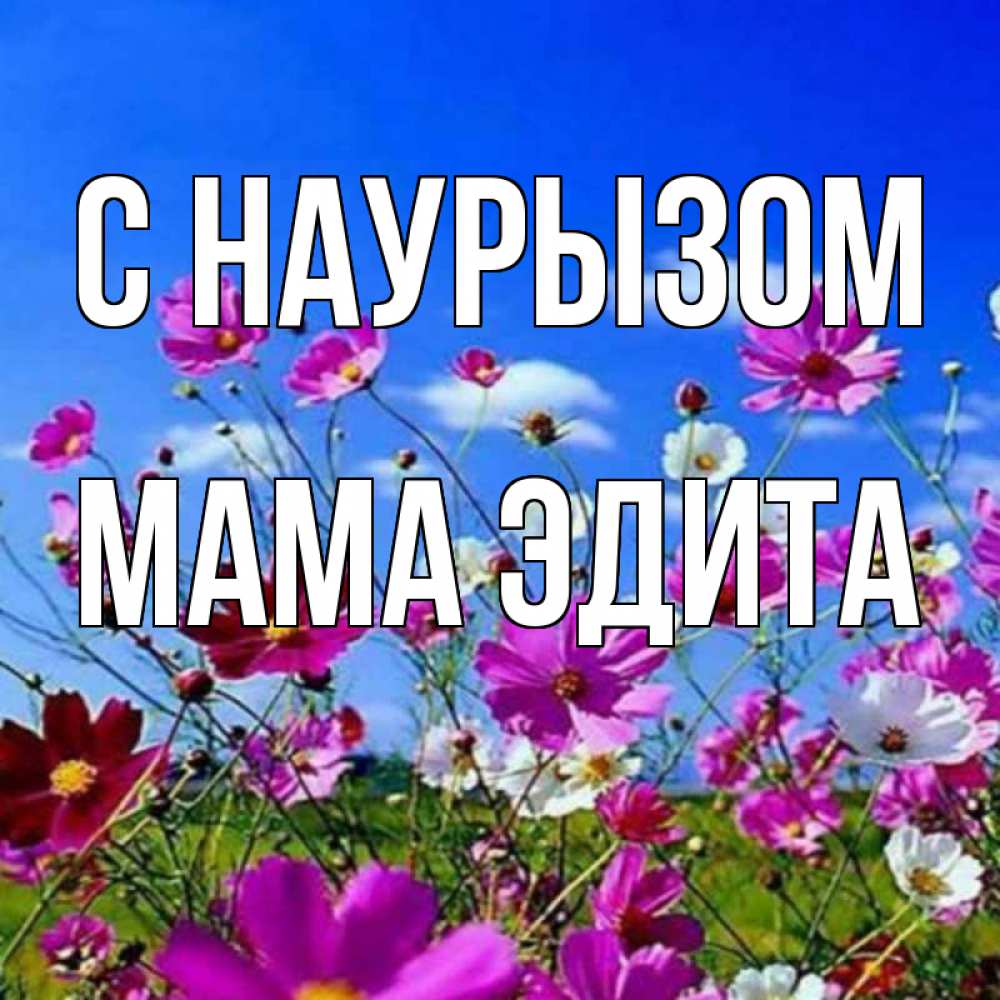Открытка на каждый день с именем, Мама-Эдита С наурызом цветы Прикольная открытка с пожеланием онлайн скачать бесплатно 