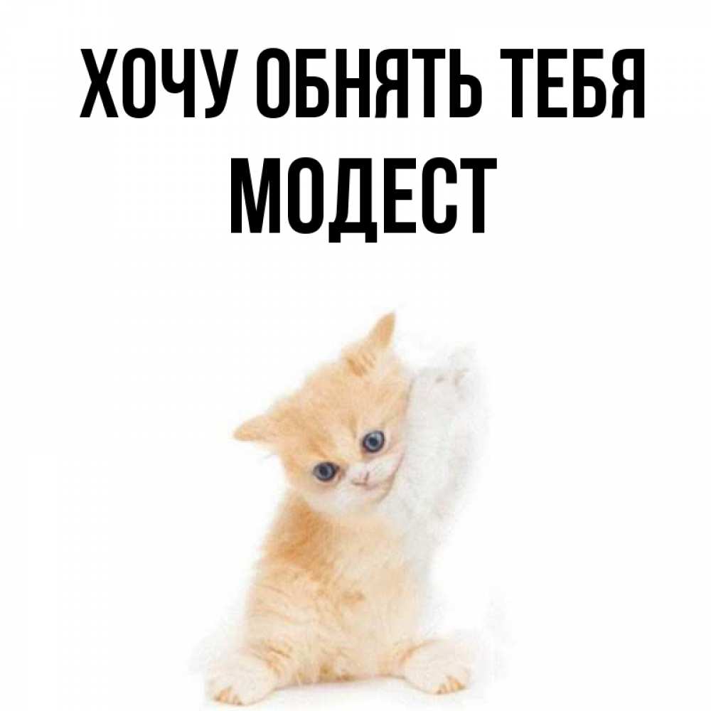 Открытка на каждый день с именем, Модест Хочу обнять тебя я хочу очень скорее обнимаешек Прикольная открытка с пожеланием онлайн скачать бесплатно 