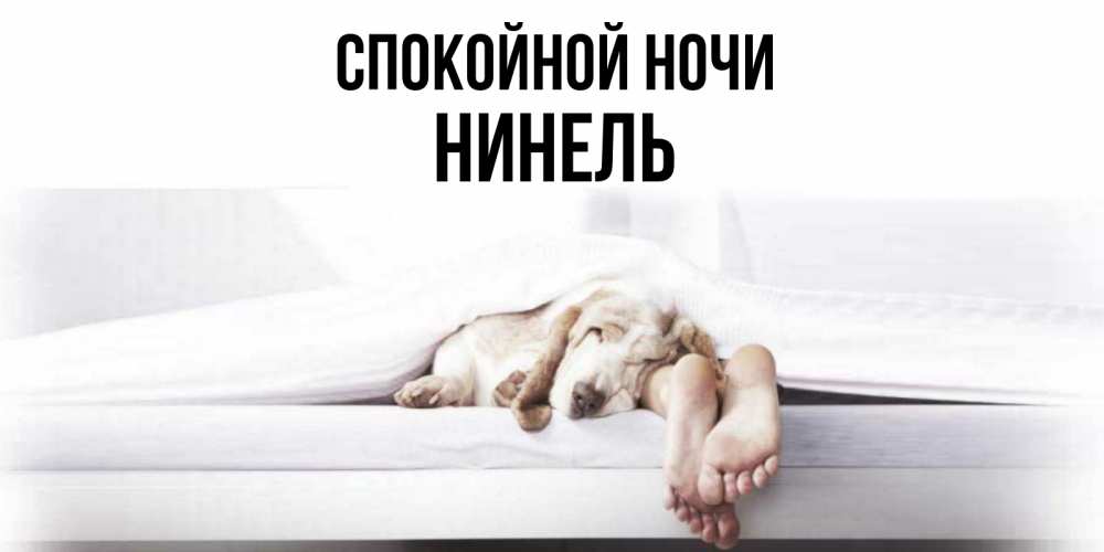 Открытка на каждый день с именем, Нинель Спокойной ночи кровать с собакой пожелание сладких снов и спокойной ночи Прикольная открытка с пожеланием онлайн скачать бесплатно 