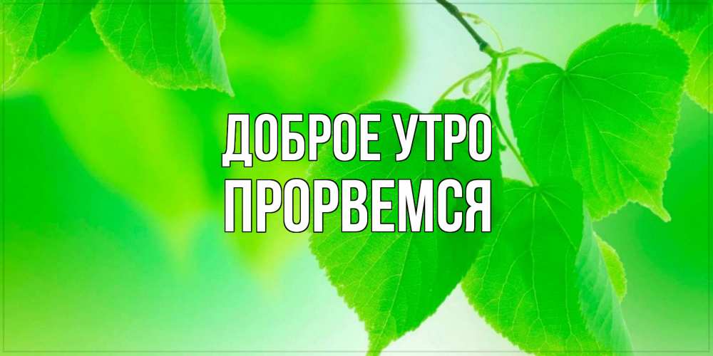 Открытка на каждый день с именем, Прорвемся Доброе утро доброе утро с березовыми листьями Прикольная открытка с пожеланием онлайн скачать бесплатно 