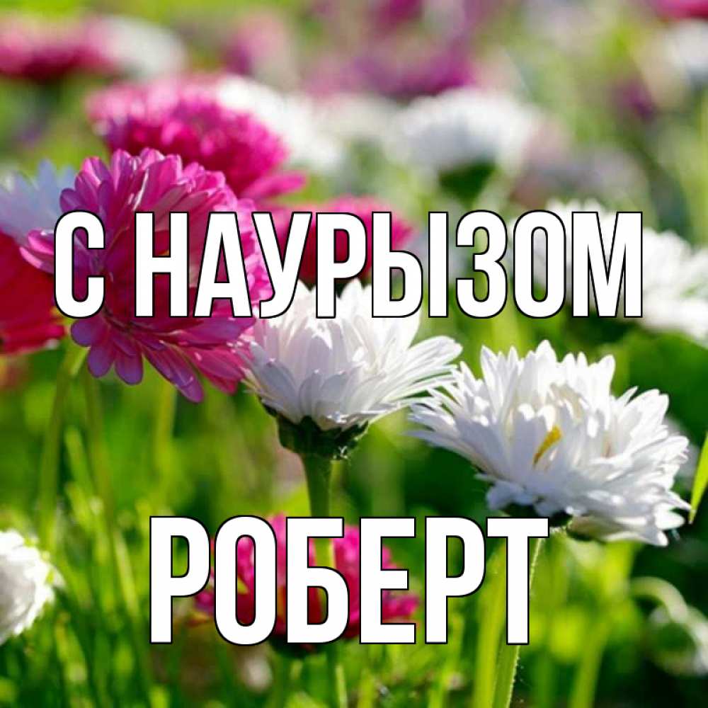 Открытка на каждый день с именем, Роберт С наурызом праздник весны наурыз красота Прикольная открытка с пожеланием онлайн скачать бесплатно 
