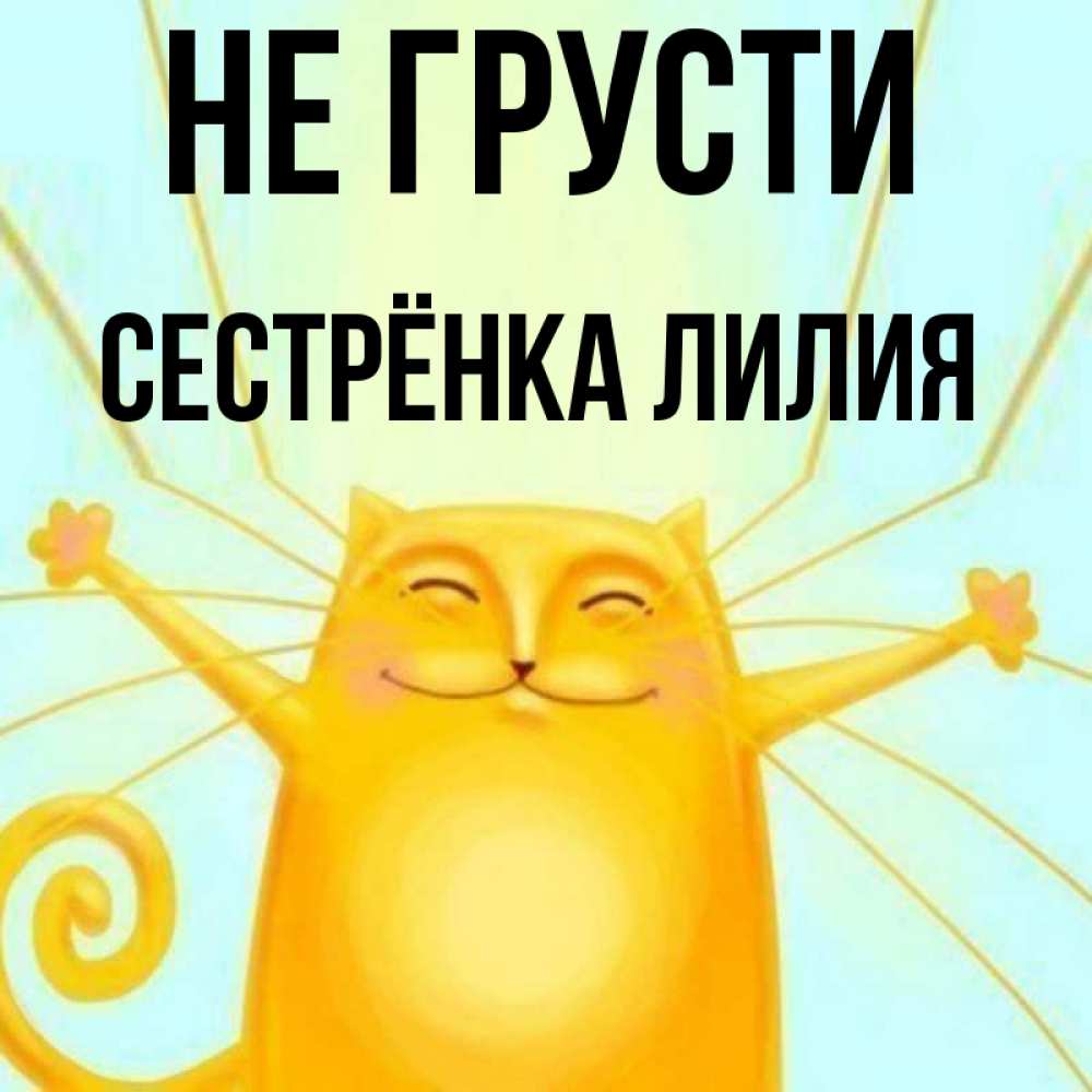 Открытка на каждый день с именем, Сестрёнка-Лилия Не грусти обнимашки усатые Прикольная открытка с пожеланием онлайн скачать бесплатно 