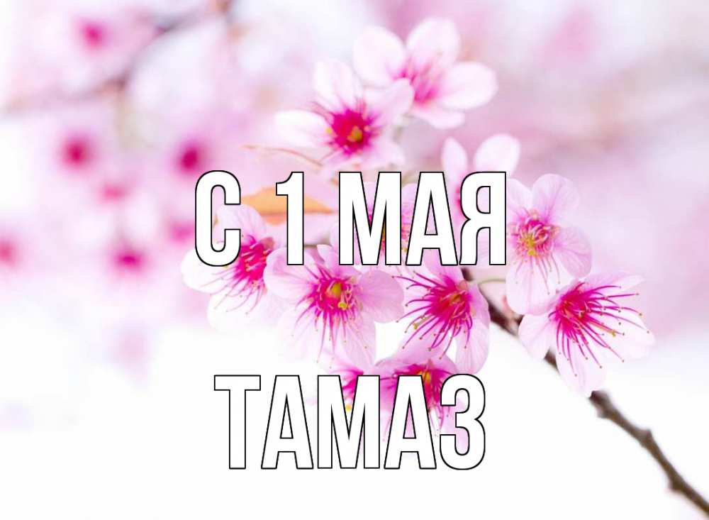 Открытка на каждый день с именем, Тамаз С 1 мая С 1 мая 2 Прикольная открытка с пожеланием онлайн скачать бесплатно 