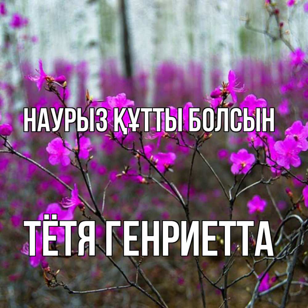 Открытка на каждый день с именем, Тётя-Генриетта Наурыз құтты болсын дикие цветы Прикольная открытка с пожеланием онлайн скачать бесплатно 