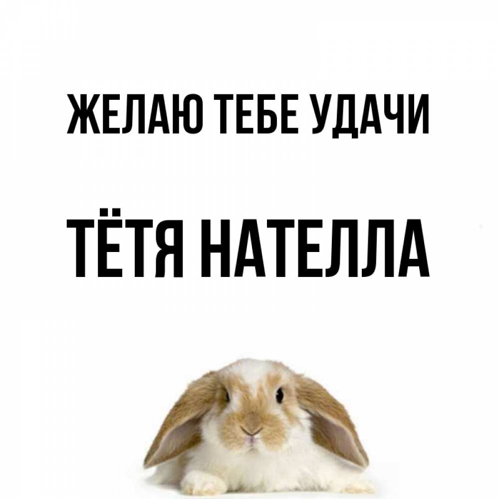 Открытка на каждый день с именем, Тётя-Нателла Желаю тебе удачи открытки с произвольным текстом который можно вставить в открытку и создать ее самостоятельно бесплатно онлайн Прикольная открытка с пожеланием онлайн скачать бесплатно 