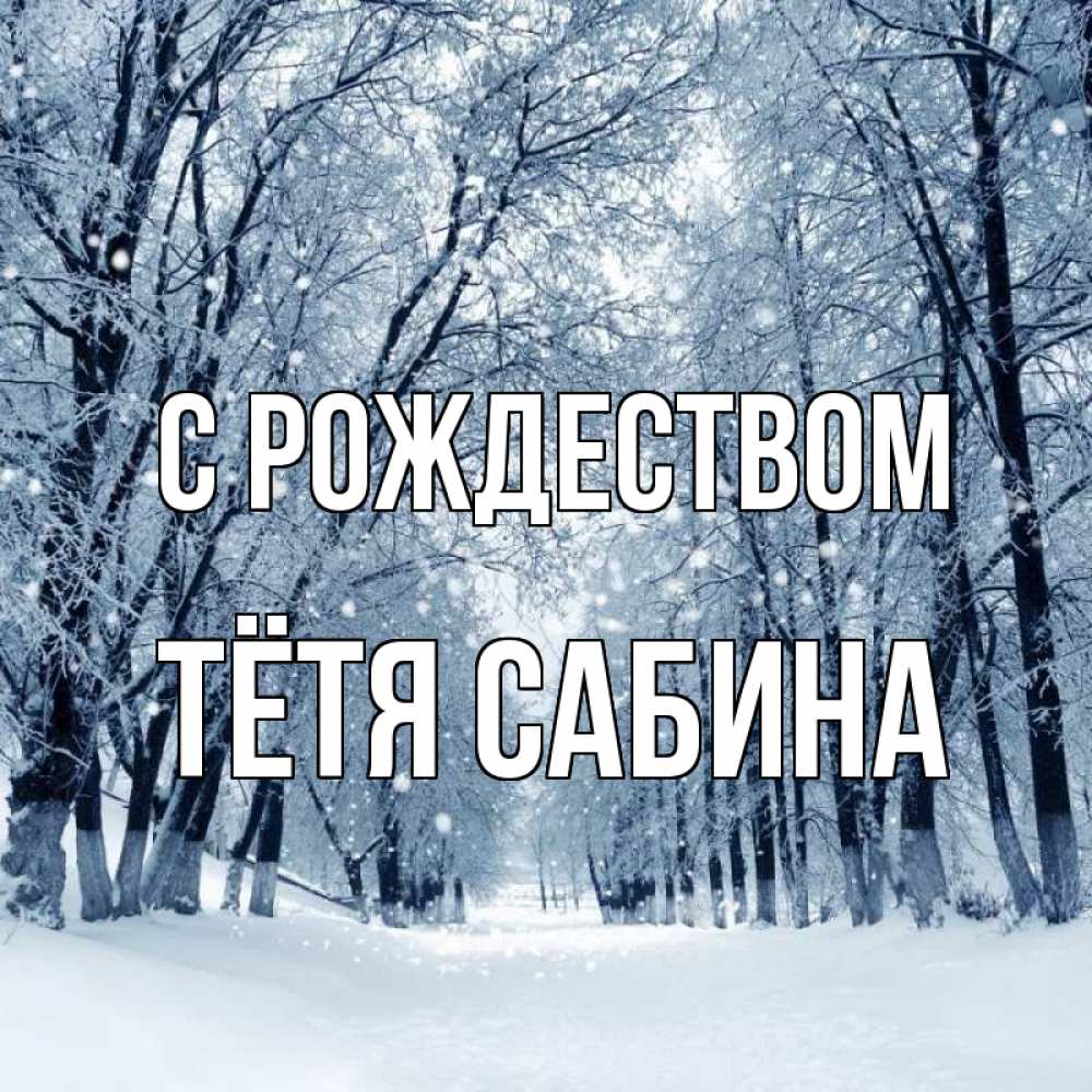 Открытка на каждый день с именем, Тётя-Сабина С рождеством снег, лес, парк Прикольная открытка с пожеланием онлайн скачать бесплатно 
