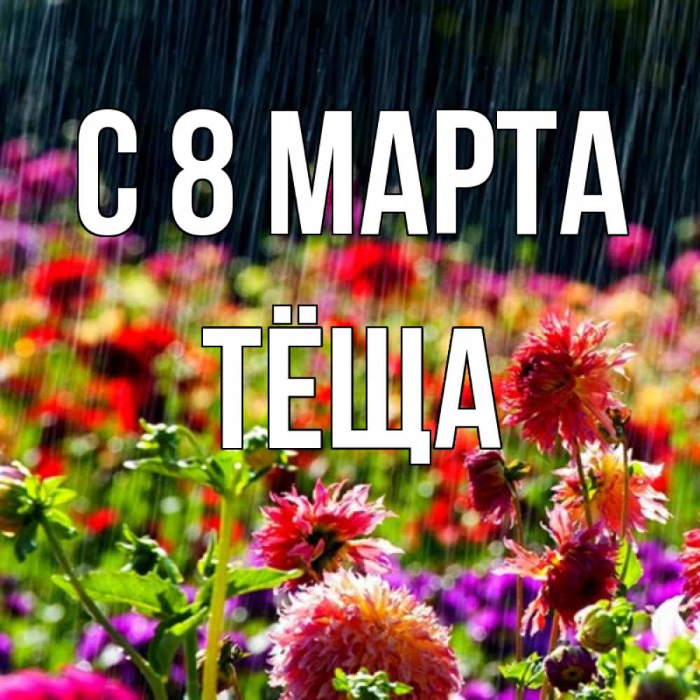 Открытка на каждый день с именем, Тёща С 8 МАРТА цветы под дождиком к международному женскому дню Прикольная открытка с пожеланием онлайн скачать бесплатно 