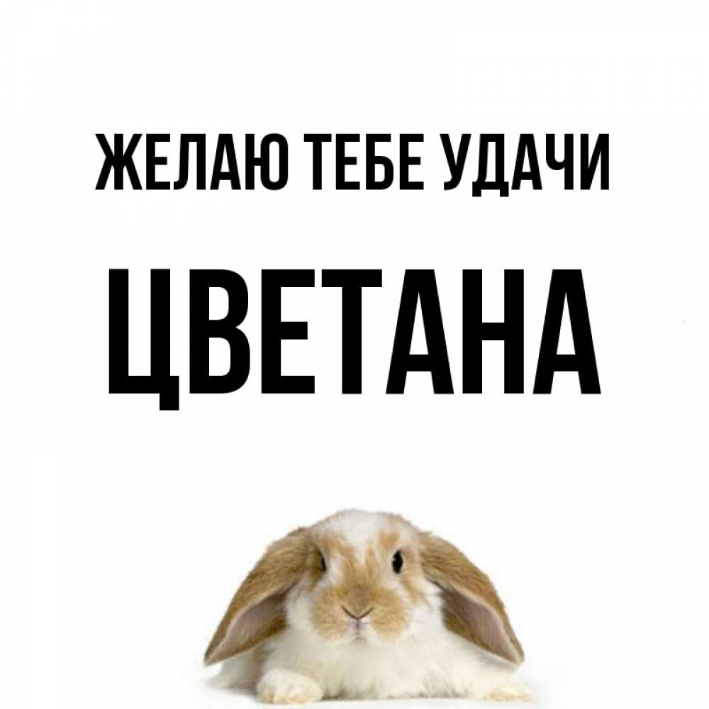Открытка на каждый день с именем, Цветана Желаю тебе удачи открытки с произвольным текстом который можно вставить в открытку и создать ее самостоятельно бесплатно онлайн Прикольная открытка с пожеланием онлайн скачать бесплатно 