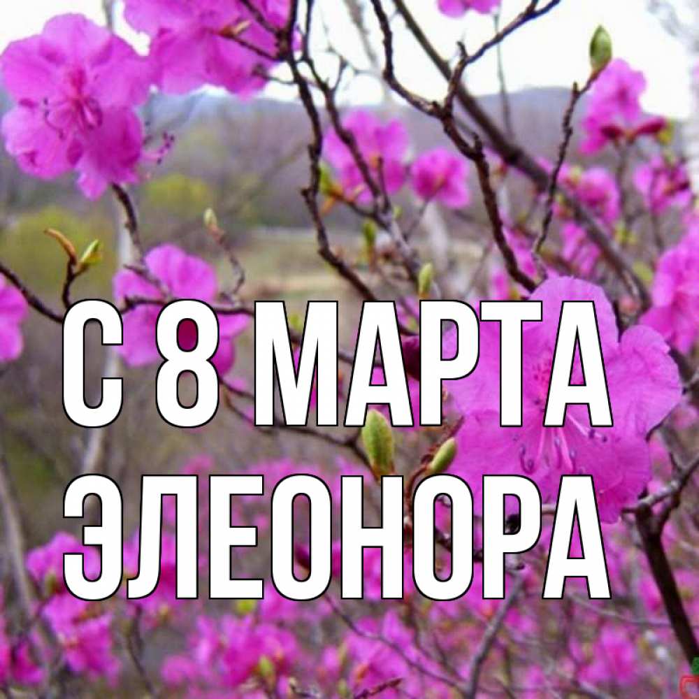Открытка на каждый день с именем, Элеонора С 8 МАРТА международный женский день Прикольная открытка с пожеланием онлайн скачать бесплатно 