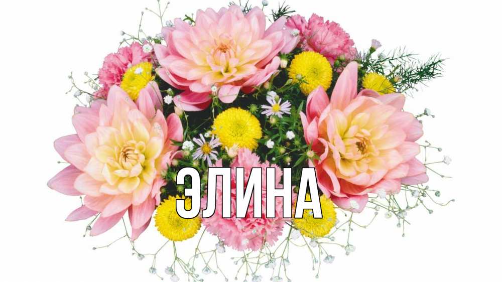 Открытка на каждый день с именем, Элина Главная с днем бухгалтера Прикольная открытка с пожеланием онлайн скачать бесплатно 