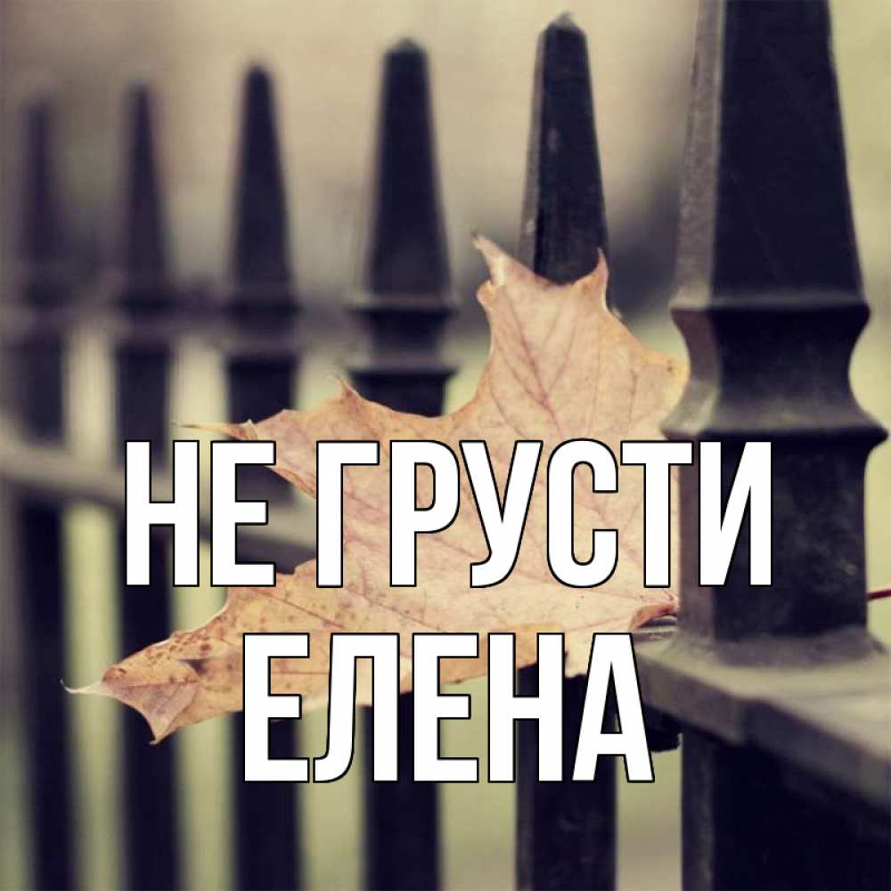Открытка на каждый день с именем, Елена Не грусти лист клена Прикольная открытка с пожеланием онлайн скачать бесплатно 