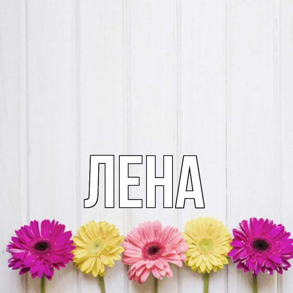 Открытка на каждый день с именем, Лена Главная женщинам 1 Прикольная открытка с пожеланием онлайн скачать бесплатно 