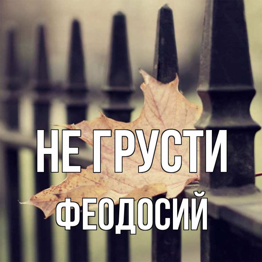 Открытка на каждый день с именем, Феодосий Не грусти лист клена Прикольная открытка с пожеланием онлайн скачать бесплатно 