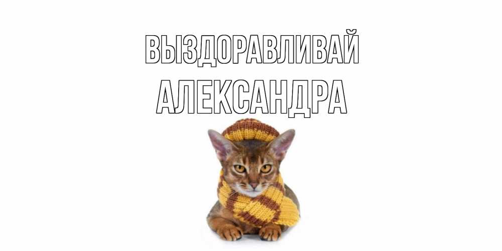 Открытка на каждый день с именем, Александра Выздоравливай родные не болейте Прикольная открытка с пожеланием онлайн скачать бесплатно 
