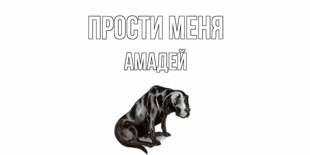 Открытка на каждый день с именем, Амадей Прости меня грустная собака на открытке с подписью прости меня Прикольная открытка с пожеланием онлайн скачать бесплатно 