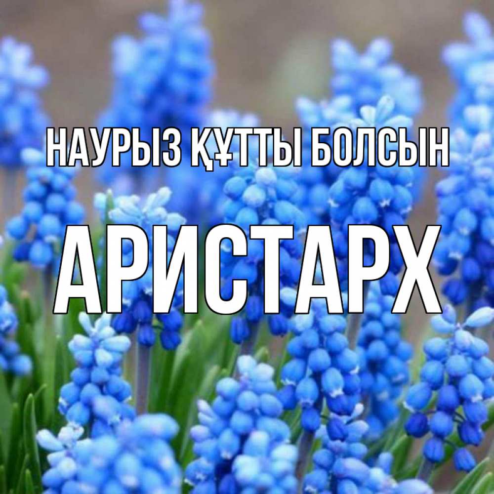 Открытка на каждый день с именем, Аристарх Наурыз құтты болсын Поздравительная открытка для женщин с цветами на праздничную дату Прикольная открытка с пожеланием онлайн скачать бесплатно 