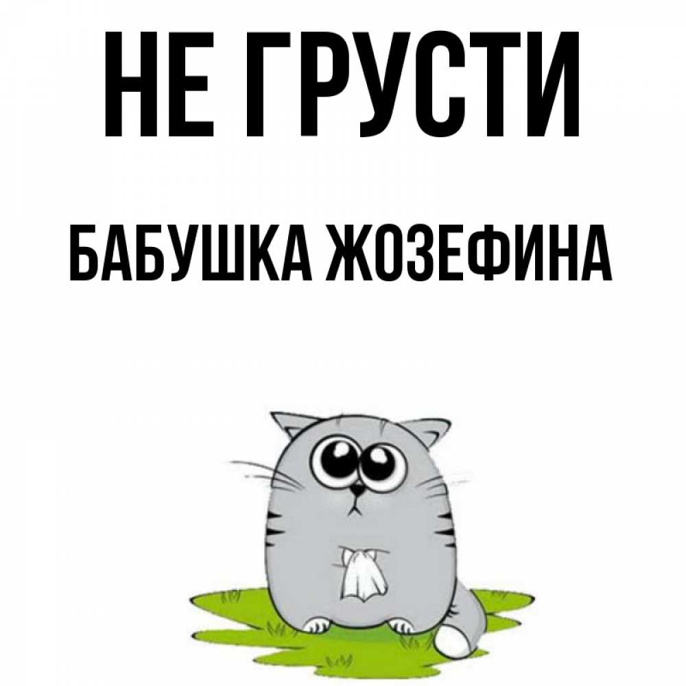 Открытка на каждый день с именем, Бабушка-Жозефина Не грусти грустный котяра Прикольная открытка с пожеланием онлайн скачать бесплатно 