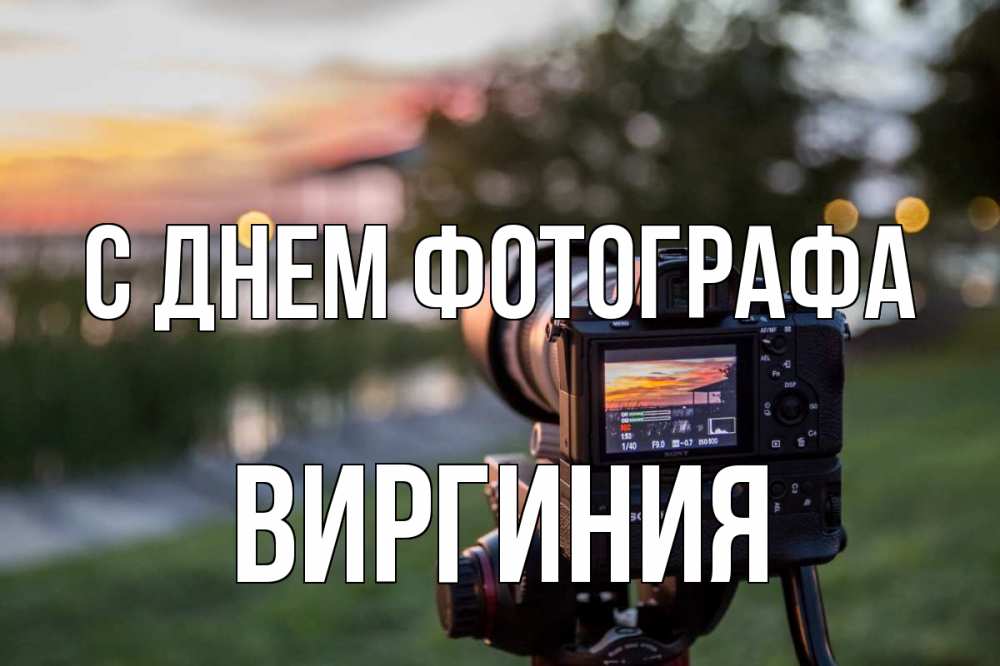Открытка на каждый день с именем, Виргиния С днем фотографа с днем фотографа Прикольная открытка с пожеланием онлайн скачать бесплатно 
