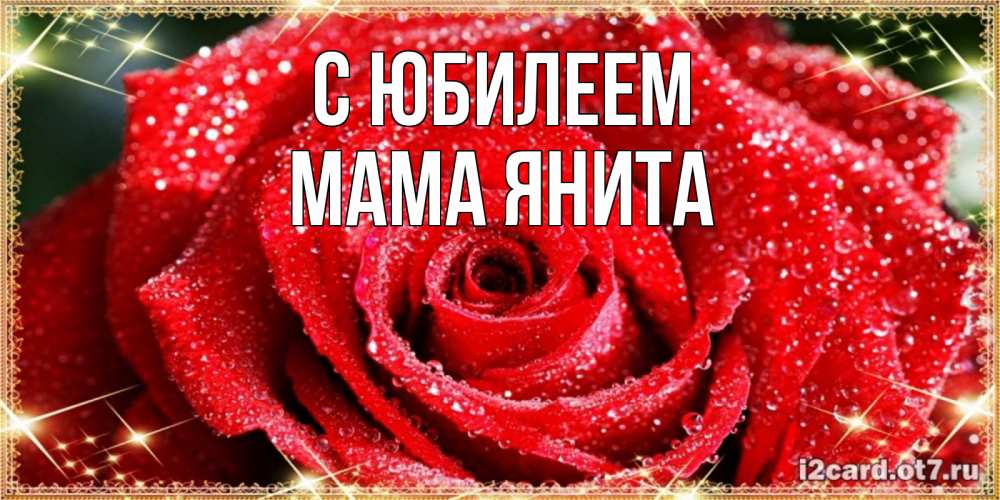 Открытка на каждый день с именем, Мама-Янита С юбилеем роса и роза. открытка с красивой розой Прикольная открытка с пожеланием онлайн скачать бесплатно 