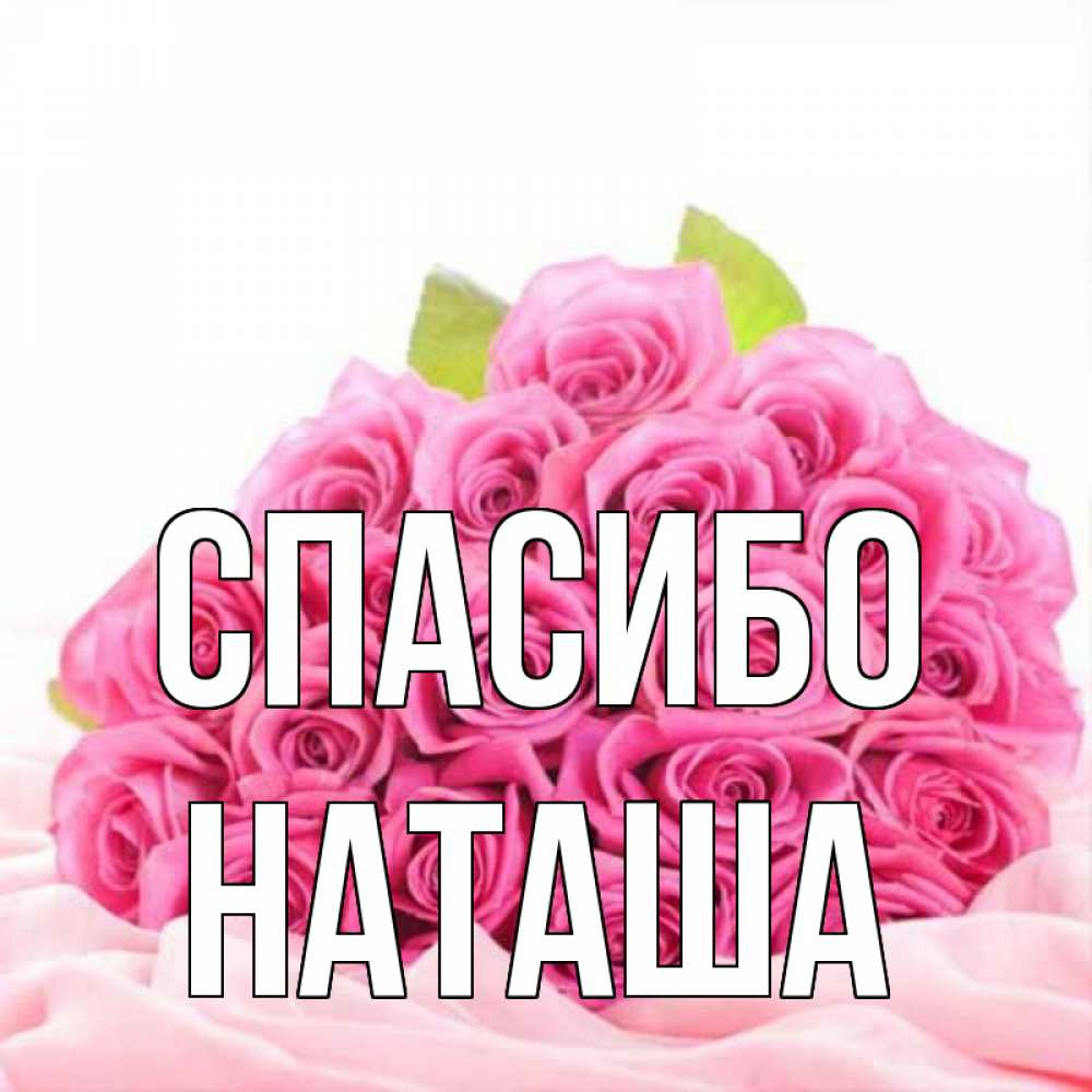 Открытка на каждый день с именем, НАТАША Спасибо розовые розы с подписью Прикольная открытка с пожеланием онлайн скачать бесплатно 