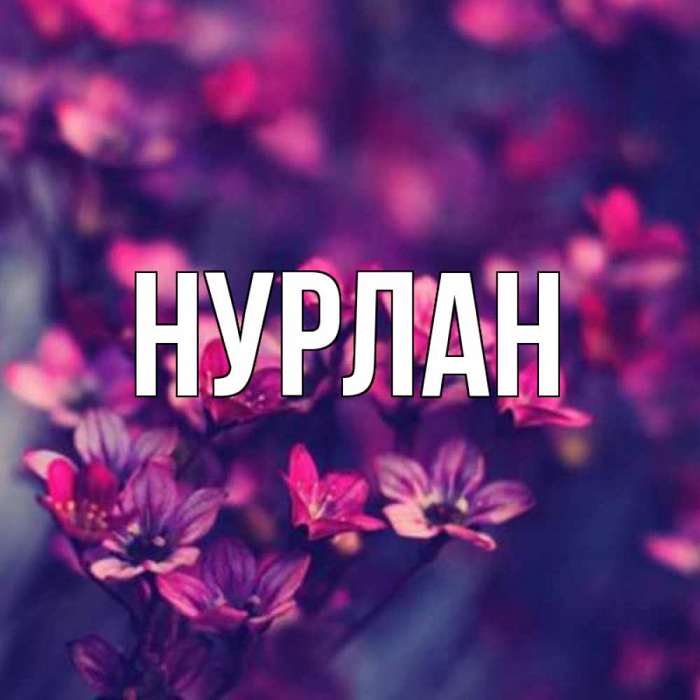 Открытка на каждый день с именем, Нурлан Главная небольшие цветы 1 Прикольная открытка с пожеланием онлайн скачать бесплатно 
