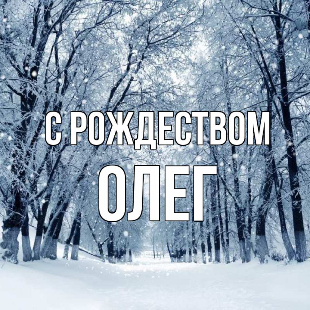 Открытка на каждый день с именем, Олег С рождеством снег, лес, парк Прикольная открытка с пожеланием онлайн скачать бесплатно 