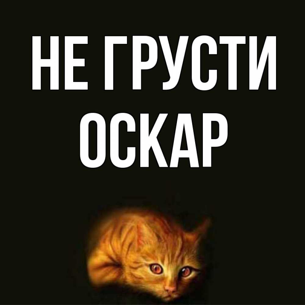 Открытка на каждый день с именем, Оскар Не грусти лежащий кот в темноте Прикольная открытка с пожеланием онлайн скачать бесплатно 