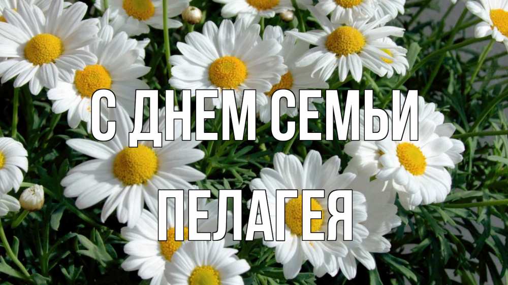 Открытка на каждый день с именем, Пелагея С днем семьи с днем семьи Прикольная открытка с пожеланием онлайн скачать бесплатно 