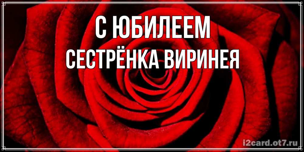 Открытка на каждый день с именем, Сестрёнка-Виринея С юбилеем алая роза Прикольная открытка с пожеланием онлайн скачать бесплатно 
