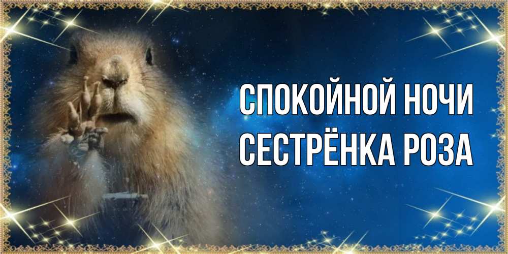 Открытка на каждый день с именем, Сестрёнка-Роза Спокойной ночи спокойной ночи сладких снов Прикольная открытка с пожеланием онлайн скачать бесплатно 