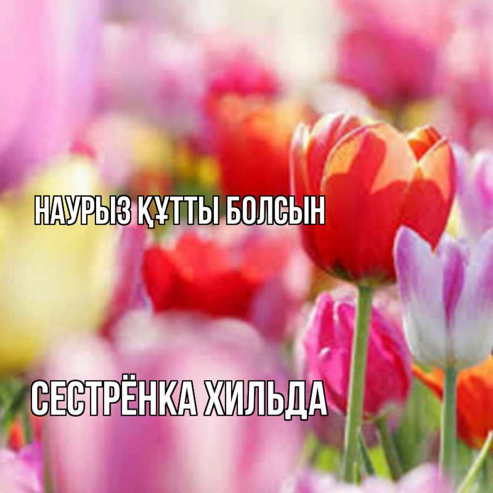 Открытка на каждый день с именем, Сестрёнка-Хильда Наурыз құтты болсын на наурыз  2 Прикольная открытка с пожеланием онлайн скачать бесплатно 