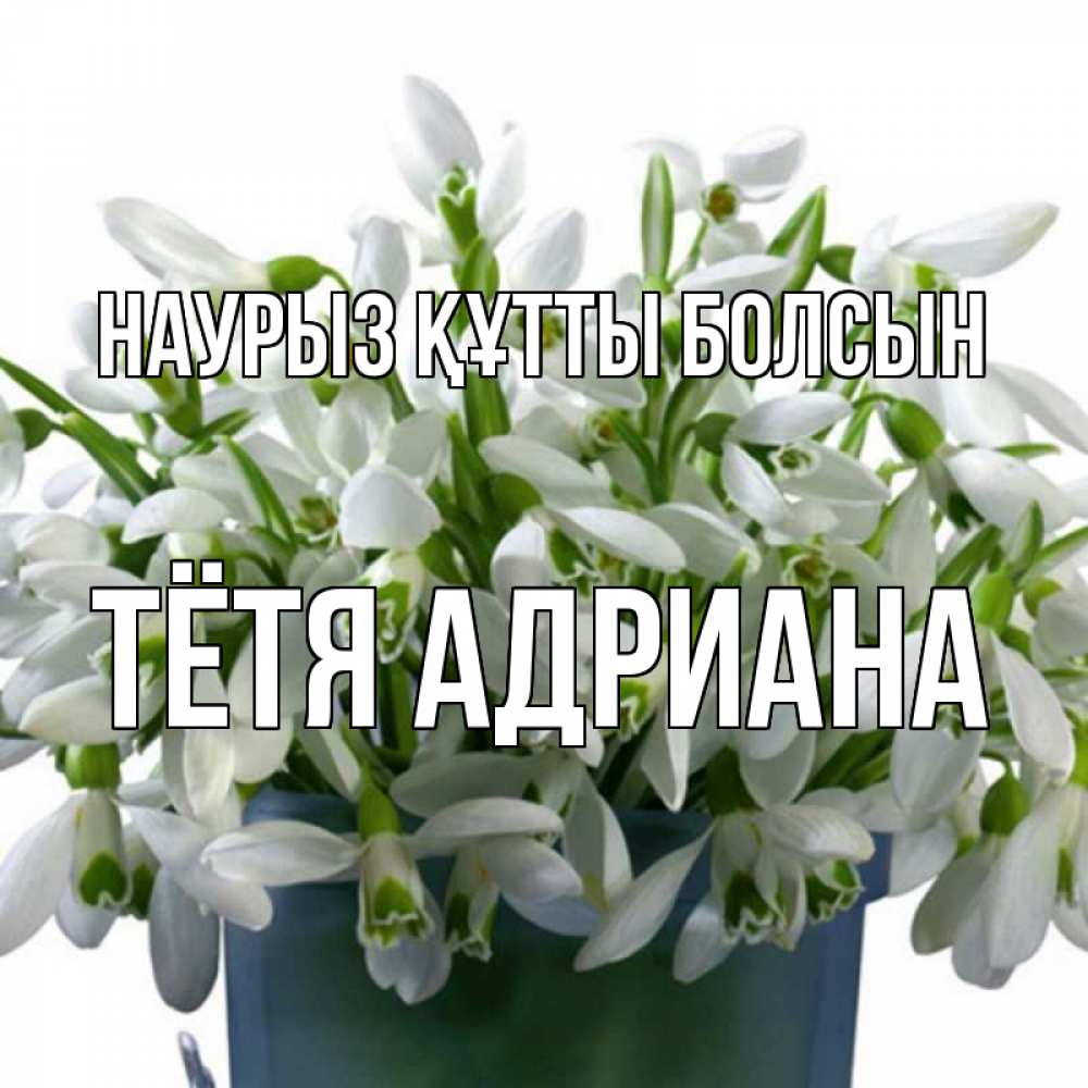 Открытка на каждый день с именем, Тётя-Адриана Наурыз құтты болсын цветы к наурызу Прикольная открытка с пожеланием онлайн скачать бесплатно 