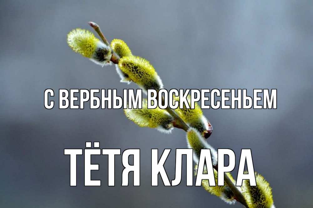 Открытка на каждый день с именем, Тётя-Клара С вербным воскресеньем верба Прикольная открытка с пожеланием онлайн скачать бесплатно 