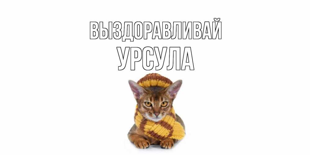 Открытка на каждый день с именем, Урсула Выздоравливай родные не болейте Прикольная открытка с пожеланием онлайн скачать бесплатно 